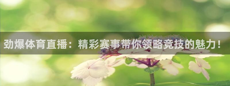 劲爆体育直播：精彩赛事带你领略竞技的魅力！