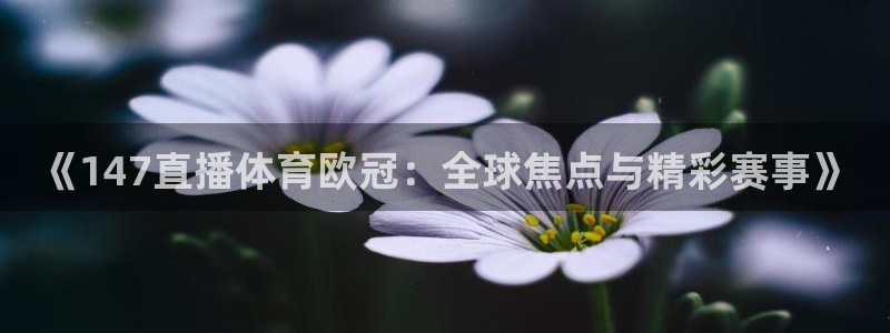 《147直播体育欧冠：全球焦点与精彩赛事》